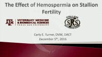Effect of Two Levels of Hemospermia on Stallion Fertility icon