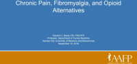 Chronic Pain, Fibromyalgia, and Opioid Alternatives icon
