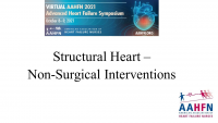 Structural Heart – Non-Surgical Interventions icon