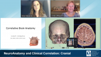 NeuroAnatomy and Clinical 
Correlation: Cranial icon