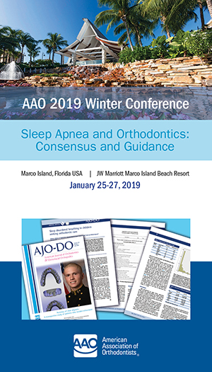 2019 Winter Conference icon