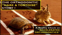 The Orthodontic 'Hare & Tortoise' Story: A Reality Check on Accelerated Tooth Movement