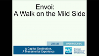 Lifetime Achievement Award Lecture - Envoi: A Walk on the Mild Side