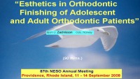 2008 NESO Annual Meeting - Esthetics in Orthodontic Finishing of Adolescent and Adult Orthodontic Patients