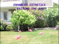2015 AAO Annual Session - Advanced Esthetics: Raising the Bar
