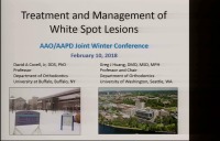 2018 AAO Winter Conf - Treatment & Management of White Spot Lesions / Q & A Session: McTigue, Christensen, Huang & Covell	 