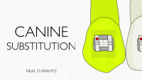 Esthetic Guide for Canine-lateral Substitutions