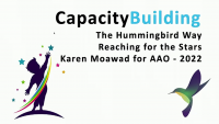 Capacity Building the Hummingbird Way: Reaching for the Stars!