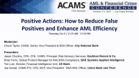 Positive Actions: How to Reduce False Positives and Enhance AML Efficiency icon