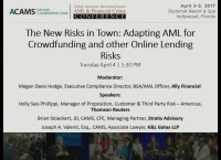 The New Risks in Town: Adapting AML for Crowdfunding and Other Online Lending Risks icon