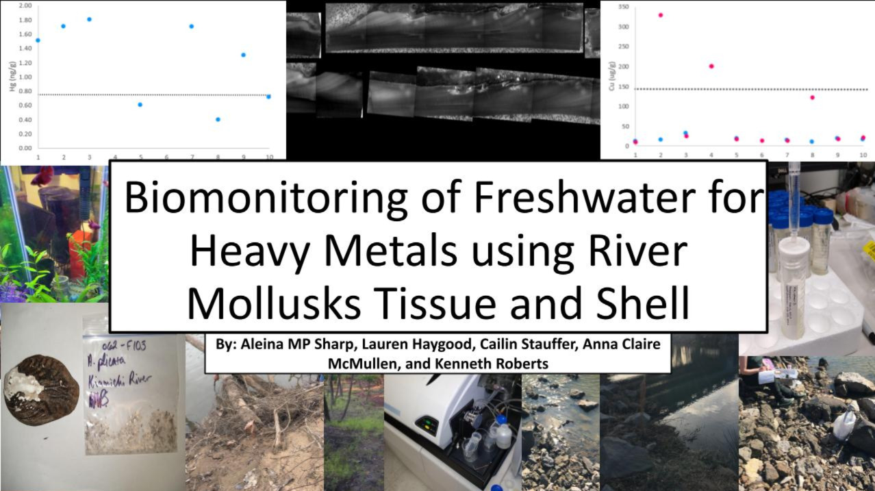 Biomonitoring of freshwater for heavy metals using river mollusk soft ...