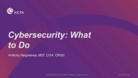 Cybersecurity: What to Do icon