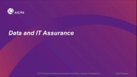 Data and IT Assurance