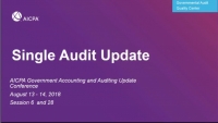 Single Audit Update (Repeated in GAE1828)