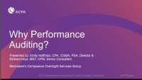 Why Performance Audits?