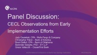 CECL Observations from Current Implementation Efforts 
