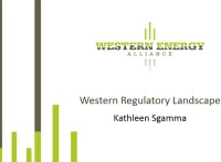 Regulatory Landscape 
