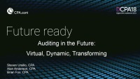 Auditing in the Future: Virtual, Dynamic, Transforming