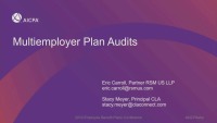 Plan, Design, and Monitor Payroll Audits