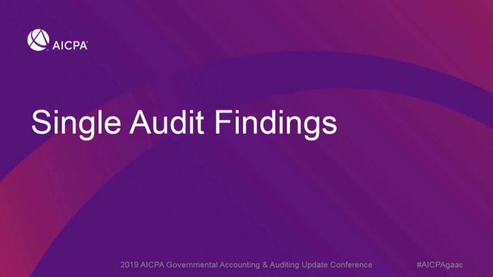 Single Audit Findings
