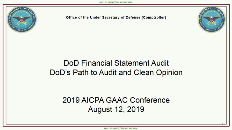 Remediating DOD's Audit Findings - A Long-Term View