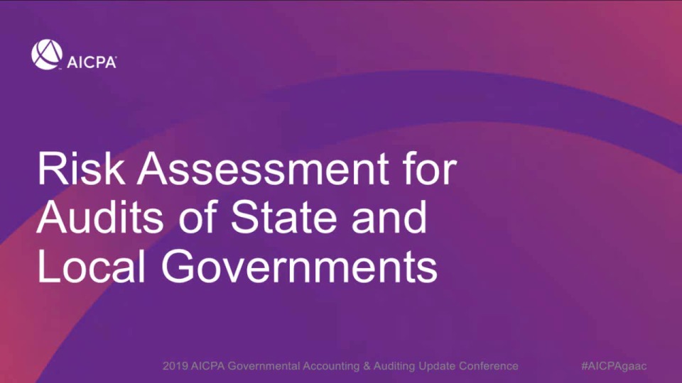 Risk Assessment for Audits of State and Local Governments