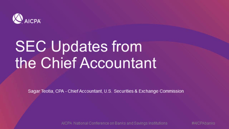 SEC Updates from the Chief Accountant 