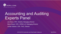 Accounting and Auditing Experts Panel