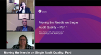 Moving the Needle on Single Audit Quality: Part I