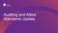 NAA2002. Auditing and Attest Standards Update