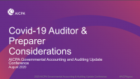 COVID 19 Auditor and Preparer Considerations icon