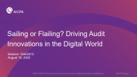 Sailing or Flailing? Driving Audit Innovations in the Digital World icon