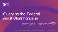 Querying the Federal Audit Clearinghouse icon