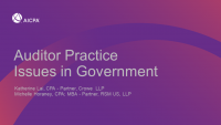 Auditor Practice Issues in Government