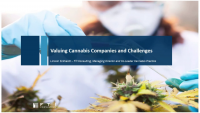 Valuing Cannabis Companies and Challenges (Appraisals) - Part 1
