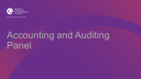 Accounting and Auditing Panel