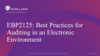 Best Practices for Auditing in an Electronic Environment