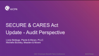 Secure & Cares Act Update-Audit Perspective