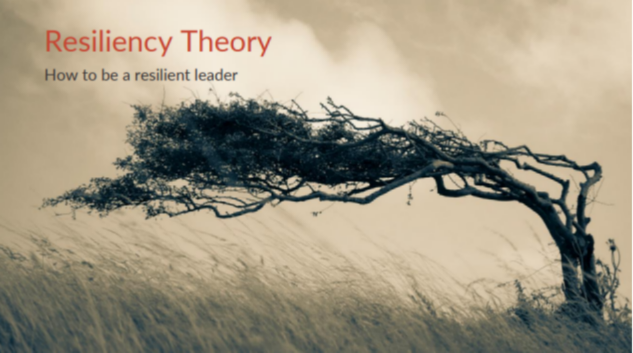The Resiliency Theory icon