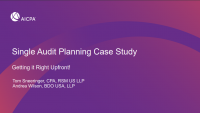 Single Audit Planning Case Study