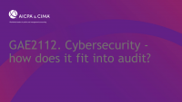 Cybersecurity - how does it fit into audit?