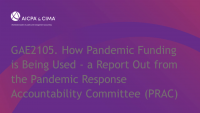 How Pandemic Funding is Being Used - a Report Out from the Pandemic Response Accountability Committee (PRAC) icon