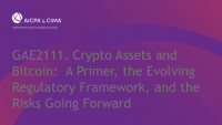 Crypto Assets and Bitcoin:  A Primer, the Evolving Regulatory Framework, and the Risks Going Forward icon