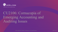 Cornucopia of Emerging Accounting and Auditing Issues