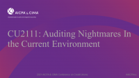Auditing Nightmares In the Current Environment