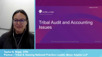 Tribal Audit and Accounting Issues icon