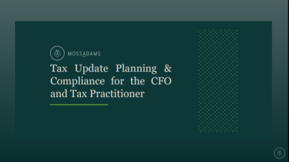 Tax Update Planning & Compliance for CFO and Tax Practitioner icon