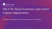 Basin Economics and Carbon Capture Opportunities icon