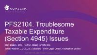Troublesome Taxable Expenditure (Section 4945) Issues