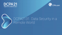 Data Security in a Remote World